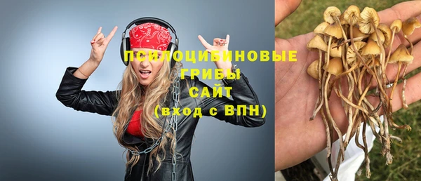 прущая мука Алзамай
